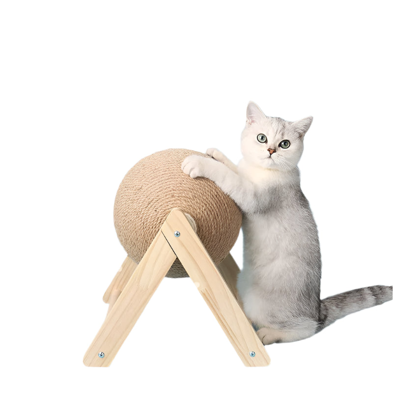 Scratching Globe