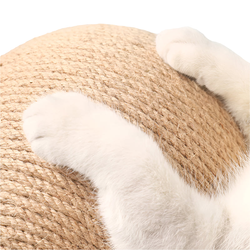 Scratching Globe
