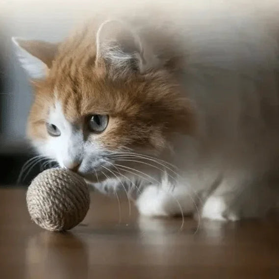 Eco Cat Ball